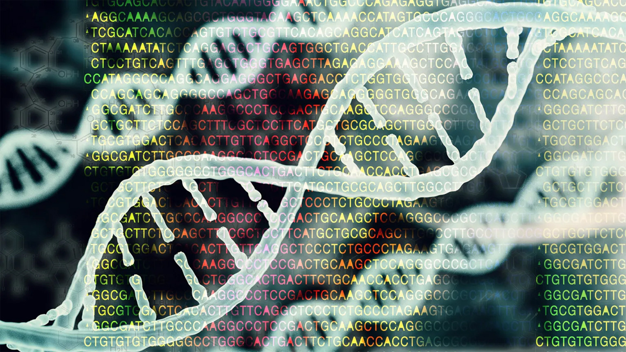 İnsanlığın geçmişine ait bilinmeyenler, bit DNA’sında gizli olabilir