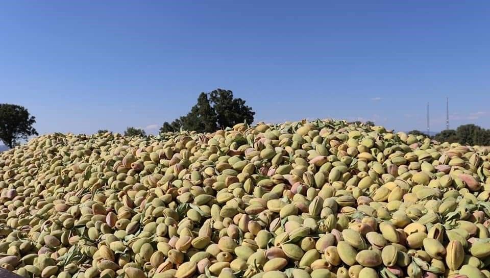 Kalori alımını sıfırlıyor!
