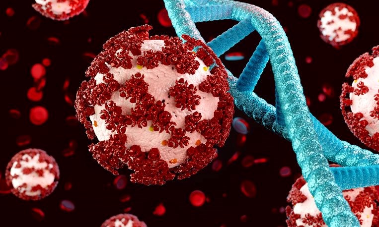 Hepatit C Virüsüne Karşı Aşı Geliştirme Üzerine Umut Veren Gelişmeler