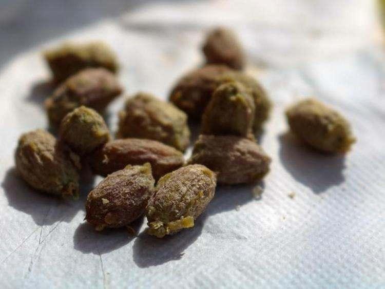 Zeytin Çekirdeğinin Faydaları ve Önemi