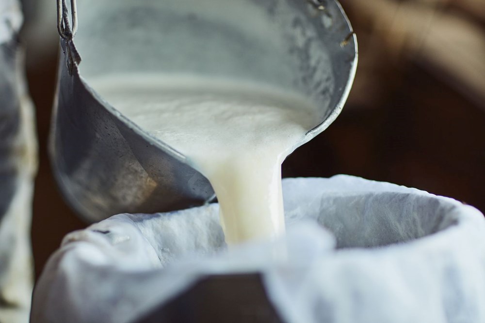 Ballı Sütün Faydaları ve Dikkat Edilmesi Gerekenler