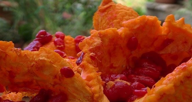 Kudret Narı: Faydaları ve Tüketim Yöntemleri