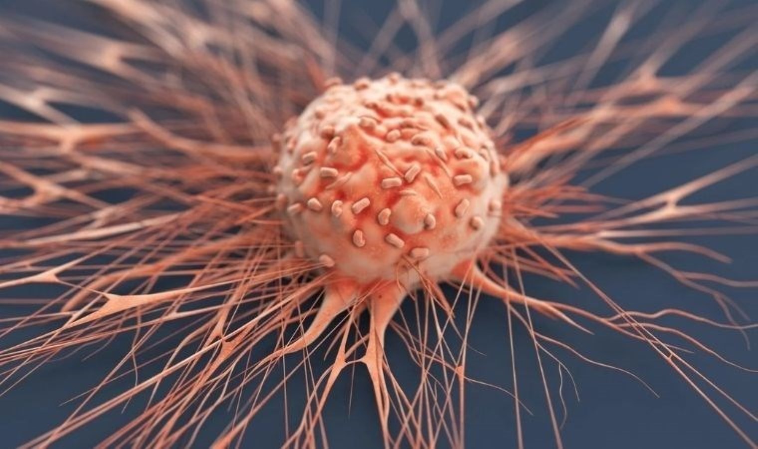 Yaşayan ilaçlar ve kişiye özel aşılar MIMIC 2025’te tanıtıldı