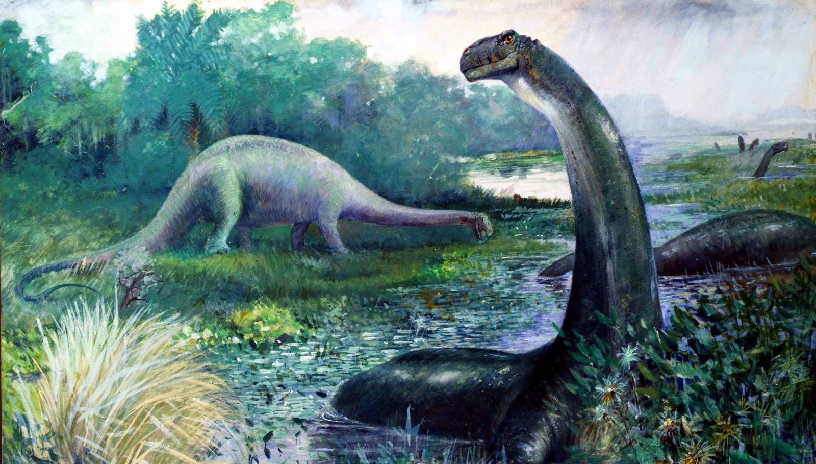 Bilim insanları bir dinozorda kanser buldu