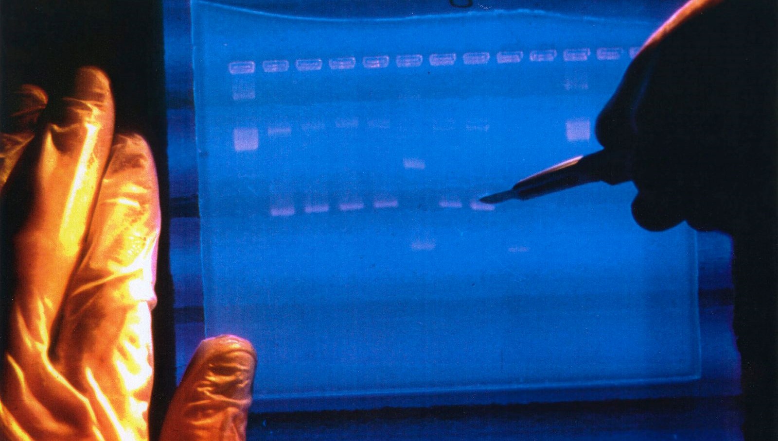 DNA’lar yeniden kodlanacak