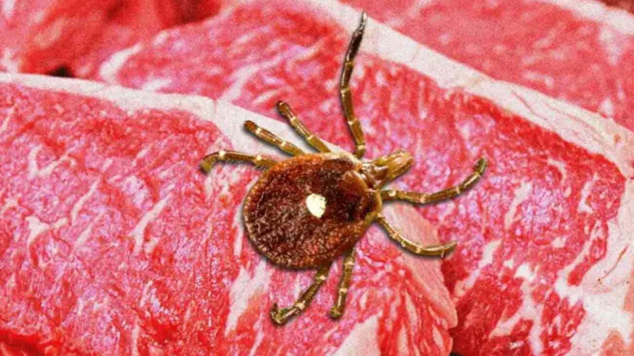 Alfa-Gal Sendromu nedir?