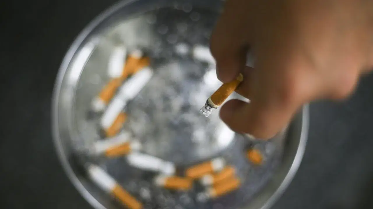 Türkiye’de her 2 erkekten ve her 4 kadından biri sigara içiyor