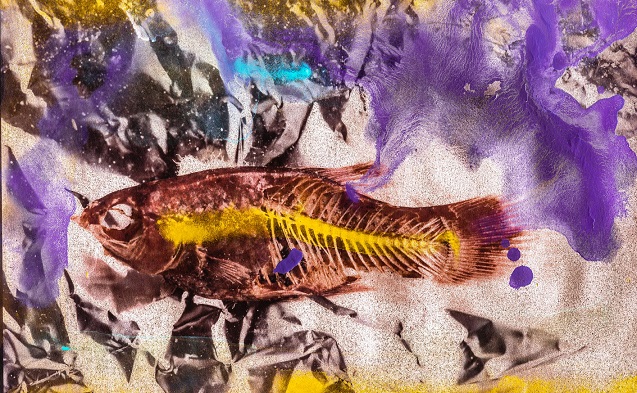 HorozArt 15 Ekim’de Artweeks İstanbul’da!