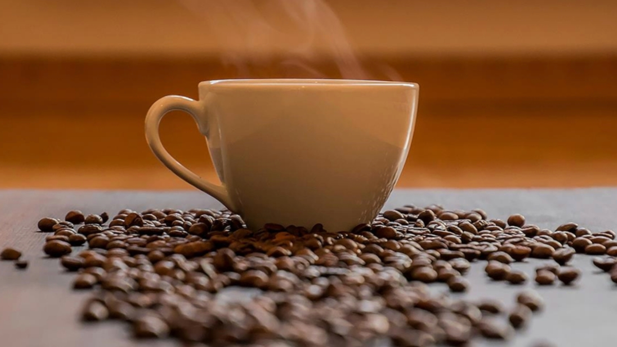 Aşırı kahve tüketmek hafızayı zayıflatıyor