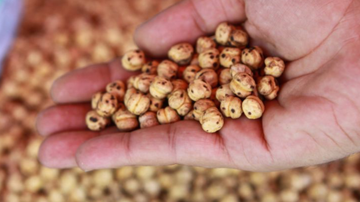 Günde bir avuç leblebi yiyin, etkisini izleyin…