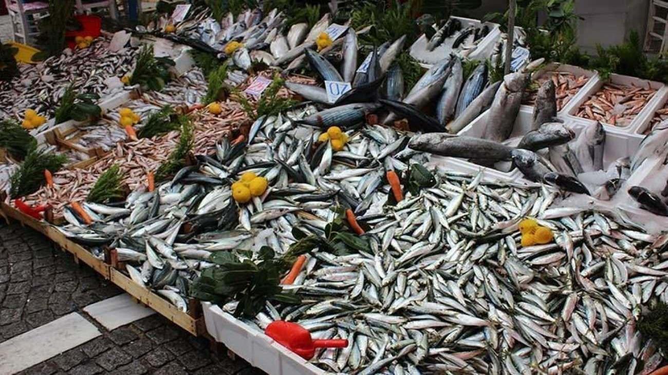 Kalp ve beyin sağlığı için en faydalı 5 balık türü açıklandı!