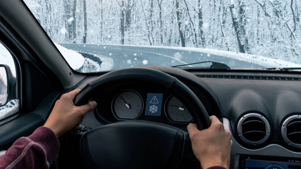 Kışın asla arabada bırakmayın!