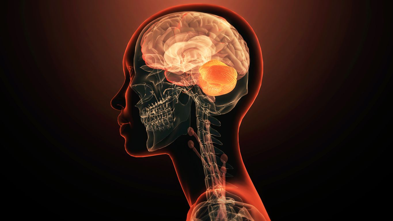 Beynimiz geçmişi sürekli “yeniden yazıyor”