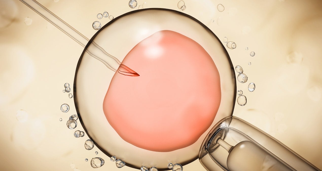 Bilim insanlarından tarihi adım