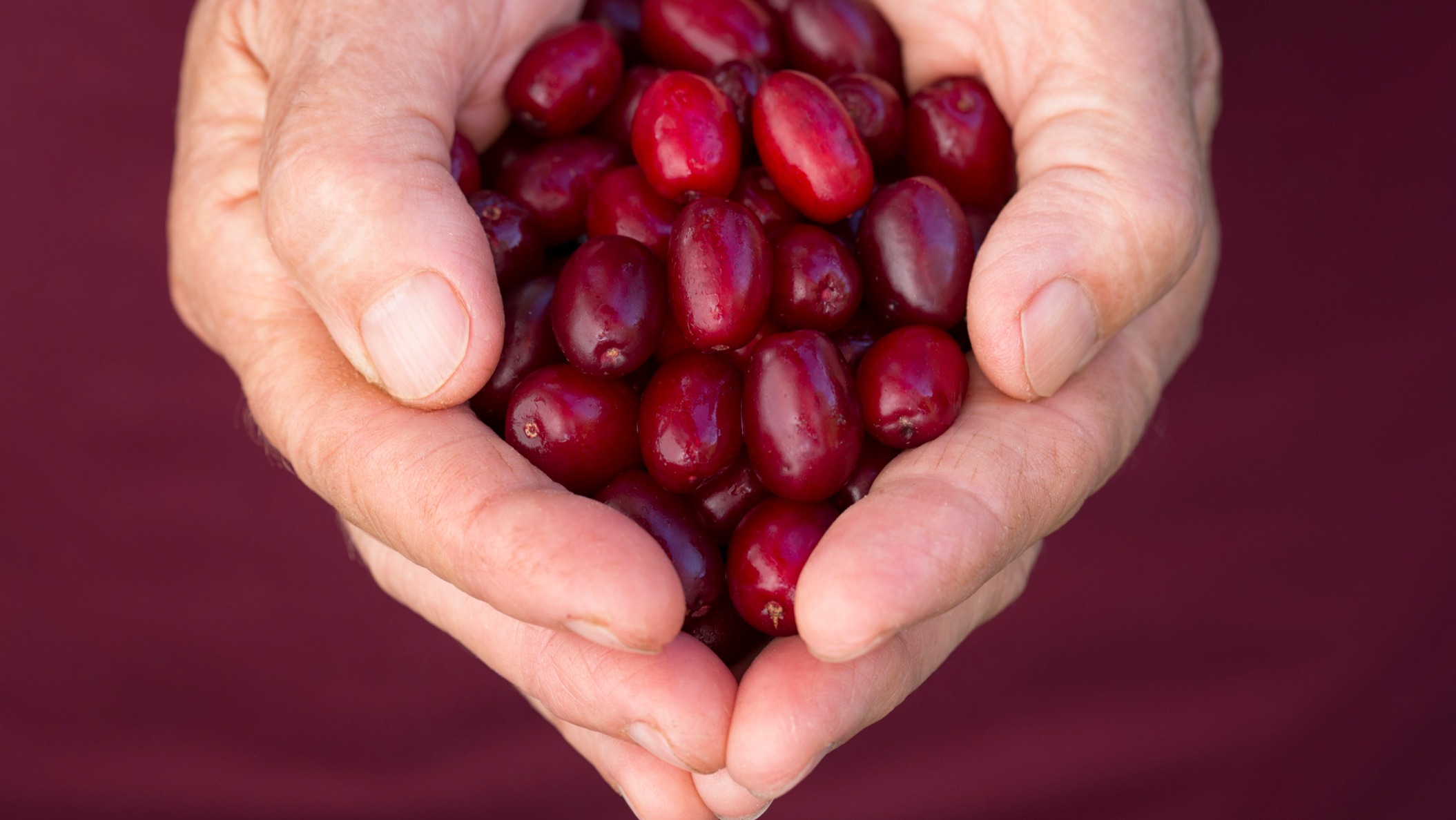 Doğal bağışıklık güçlendirici