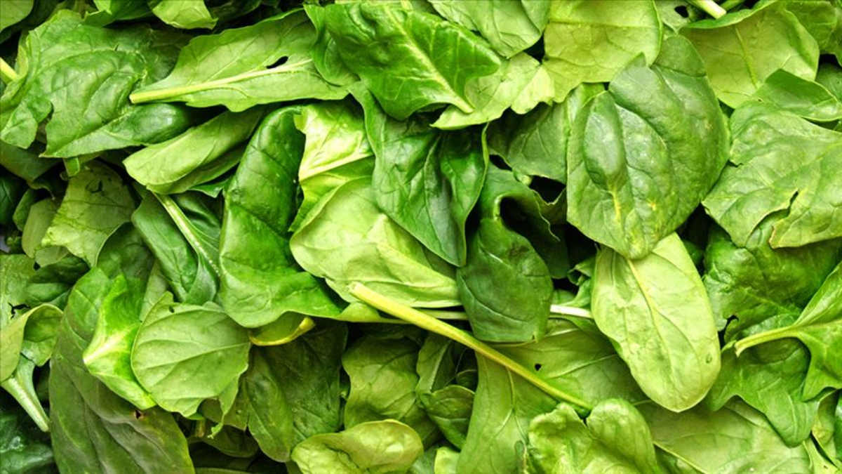 Ispanakları bu yöntemle yıkayın, pestisitten arındırın…