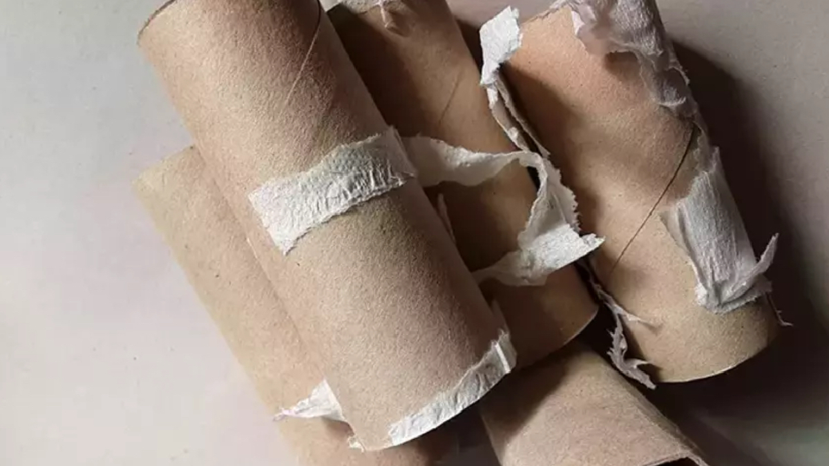 Tuvalet kağıdı rulolarını çöpe atan pişman oluyor!