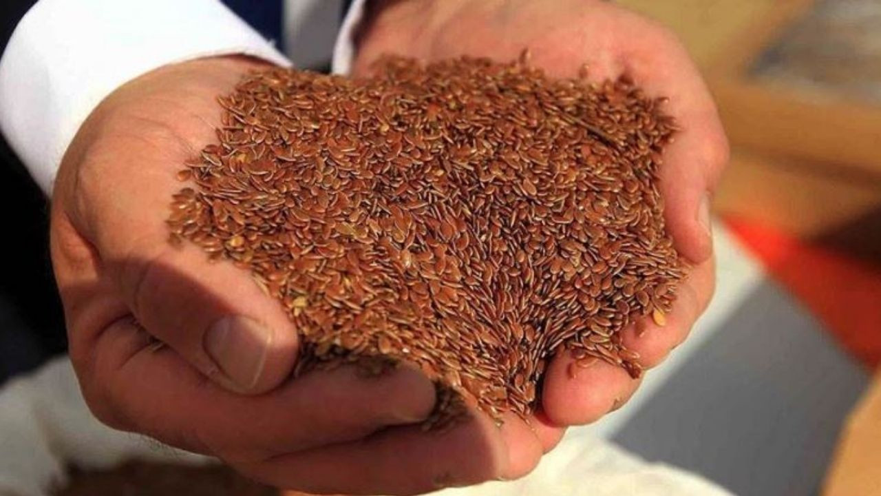 Kan şekeri için doğal destek