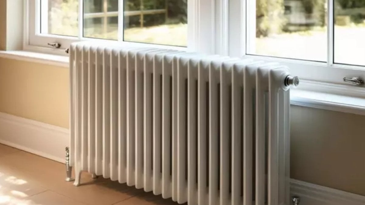 Petekler neden genellikle pencerenin altında?