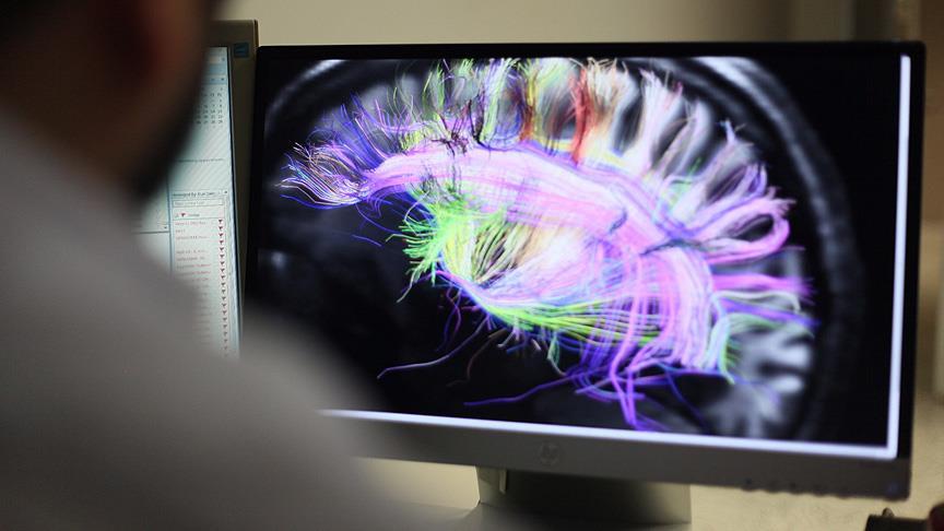 Bencilliğin çaresi bulunmuş olabilir