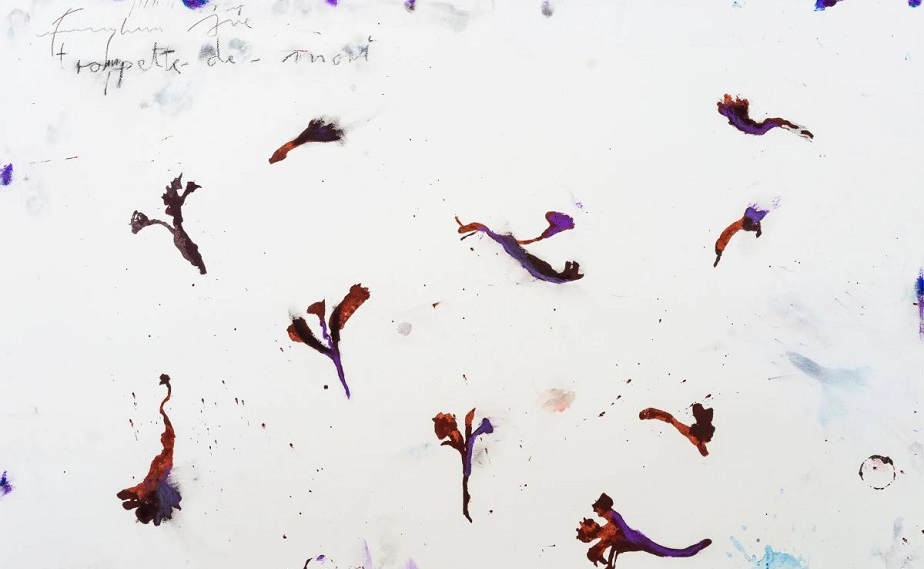 Shiva Zahed Gallery “Echos” Adlı Sergisiyle 28 Şubat’ta Pera’da Açılıyor