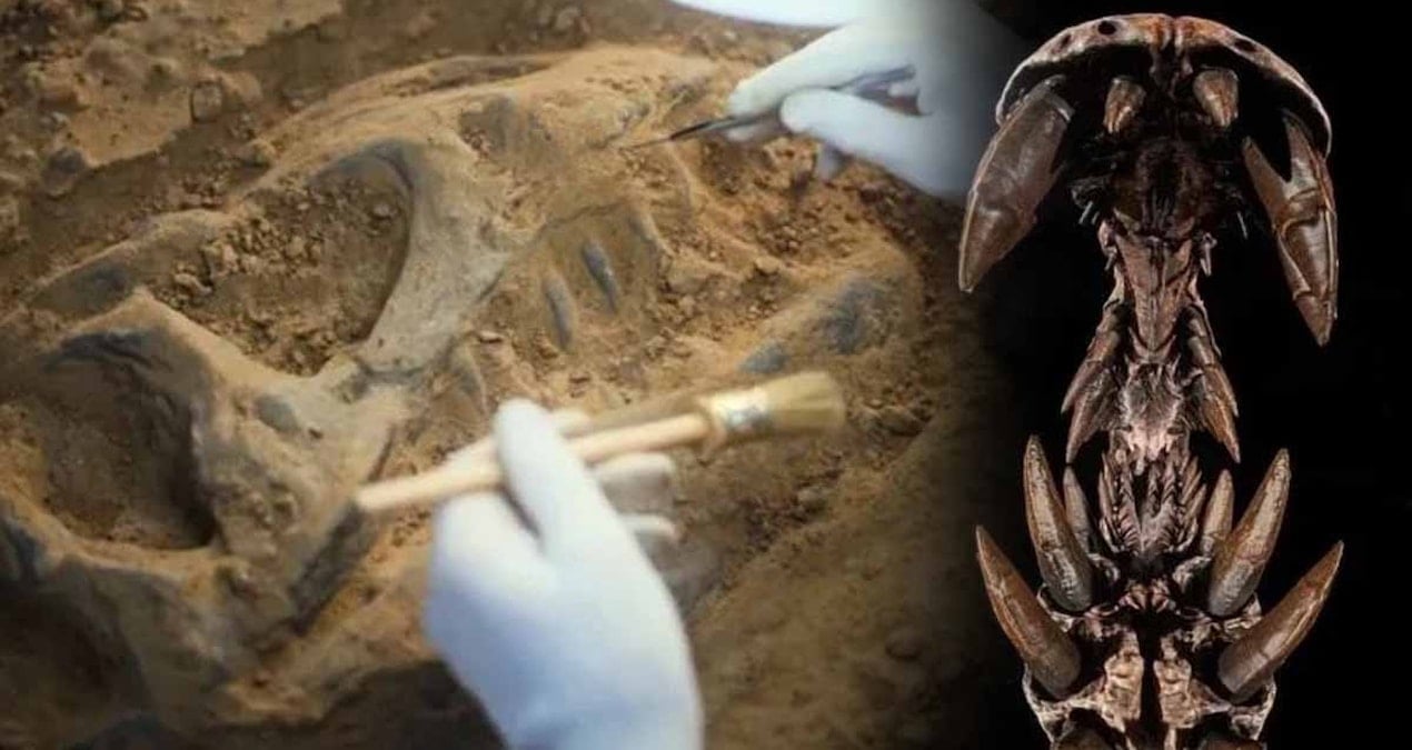 Bilim insanları 95 milyon yıllık ‘pala boynuzlu’ dev buldu