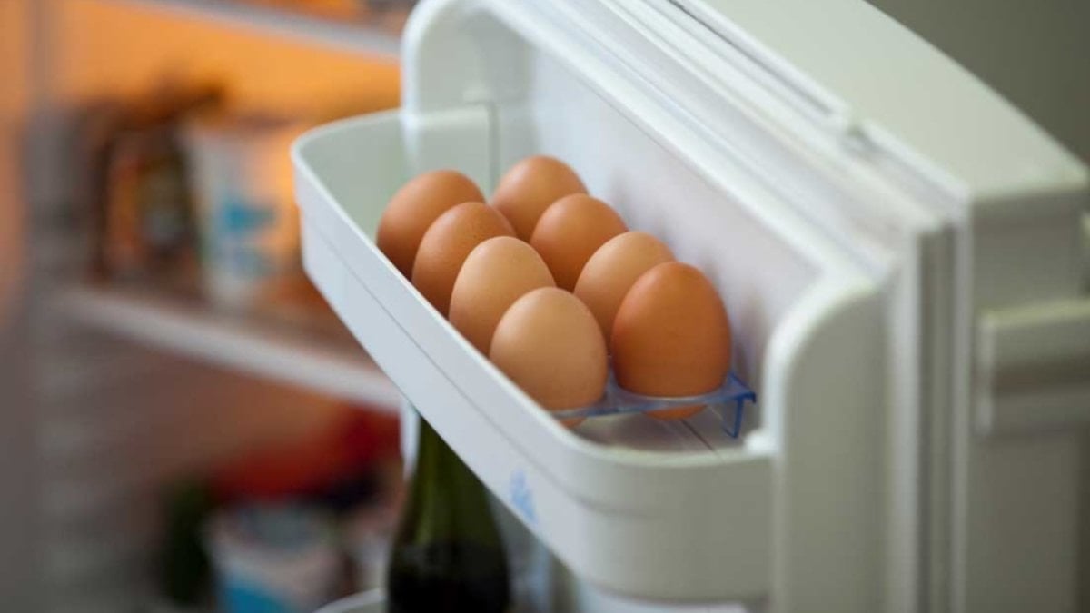 Bozuk yumurtayı bir saniyede ele veren test