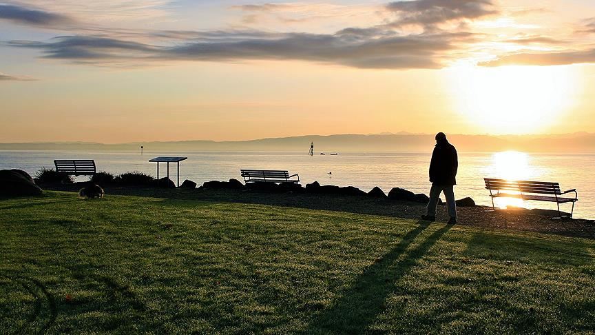 En yalnız meslekler belli oldu