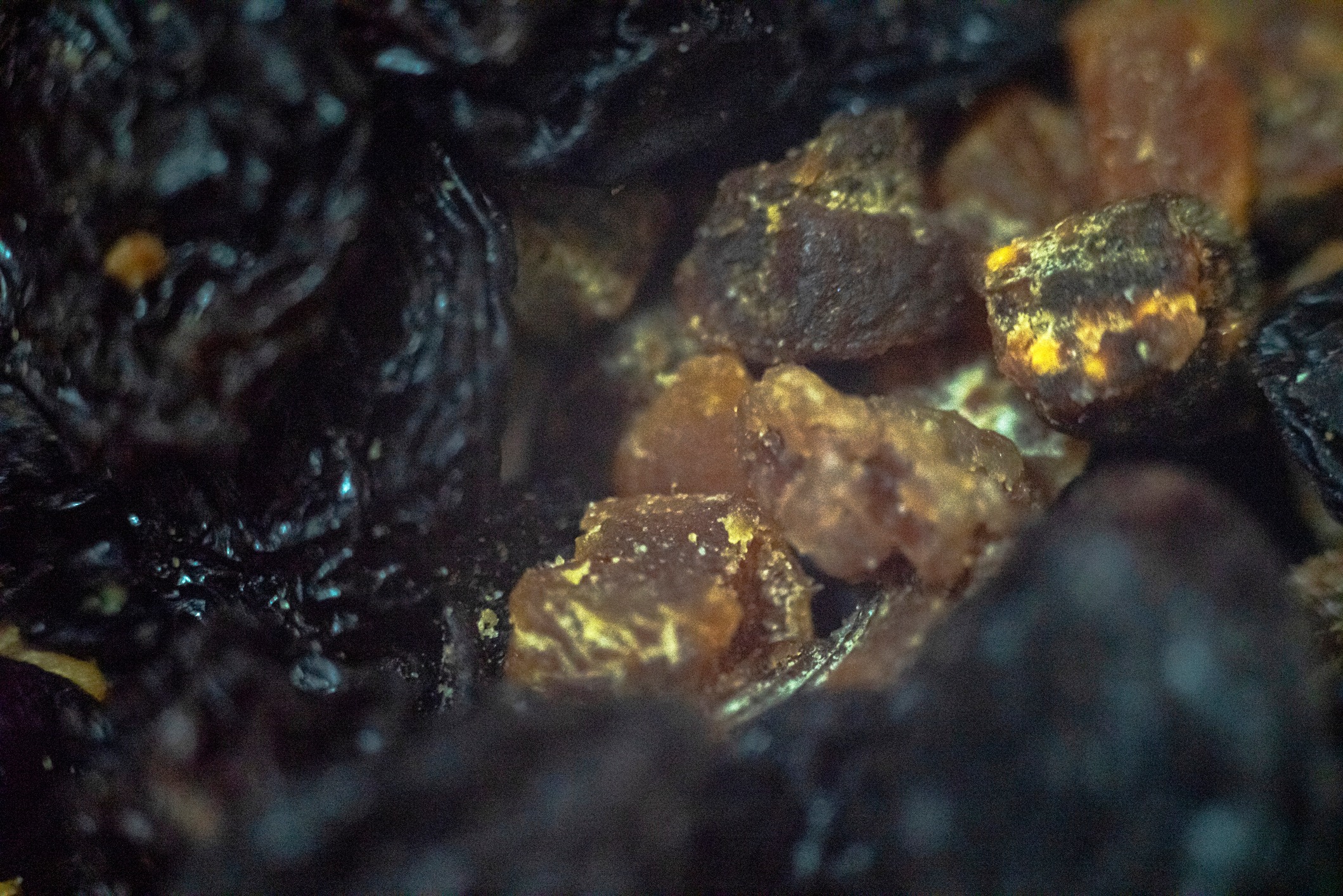 Yaşlanmayı da yavaşlatan süper gıda listesi