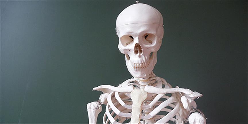 Atmosferdeki karbondioksit artışı iskelet sistemini zayıflatıyor