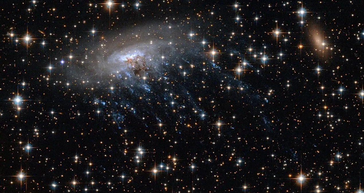 ‘Denizanası galaksisi’ keşfedildi