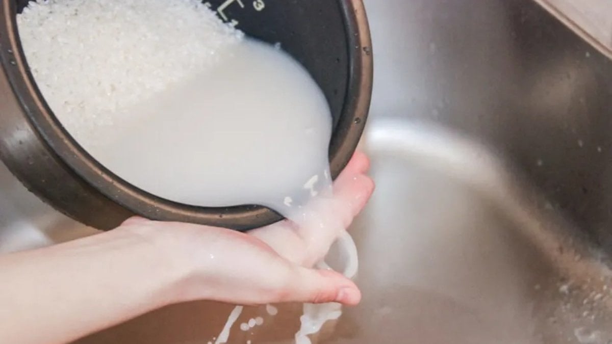 Saksılara “pirinç suyu” döken kurtarıyor