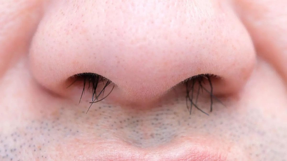 Burun kıllarınıza dokunmayın