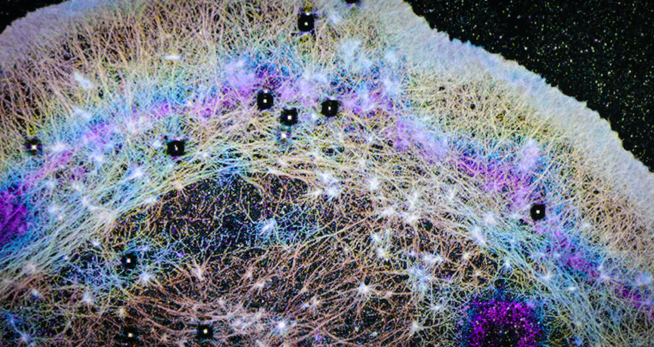 İnsan vücudunda şaşırtan keşif