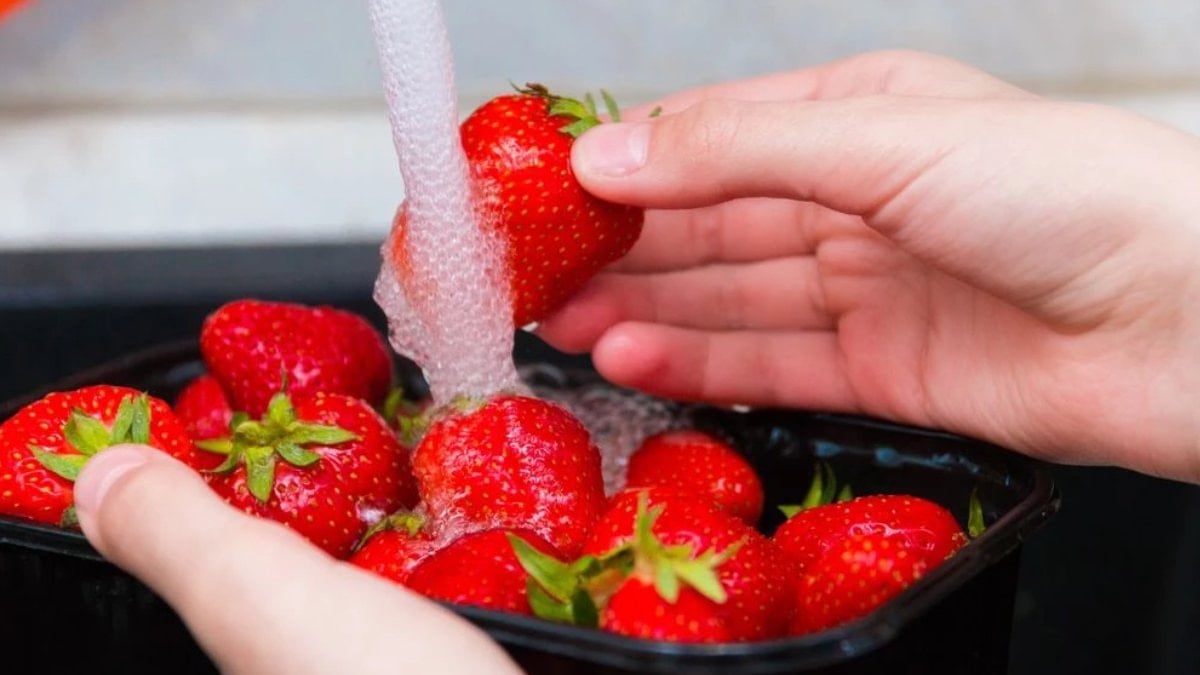 İşte çileklerin ömrünü uzatan saklama sırrı