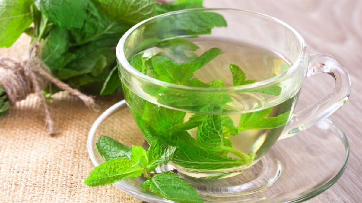 İşte nane suyu içmenin 5 önemli faydası
