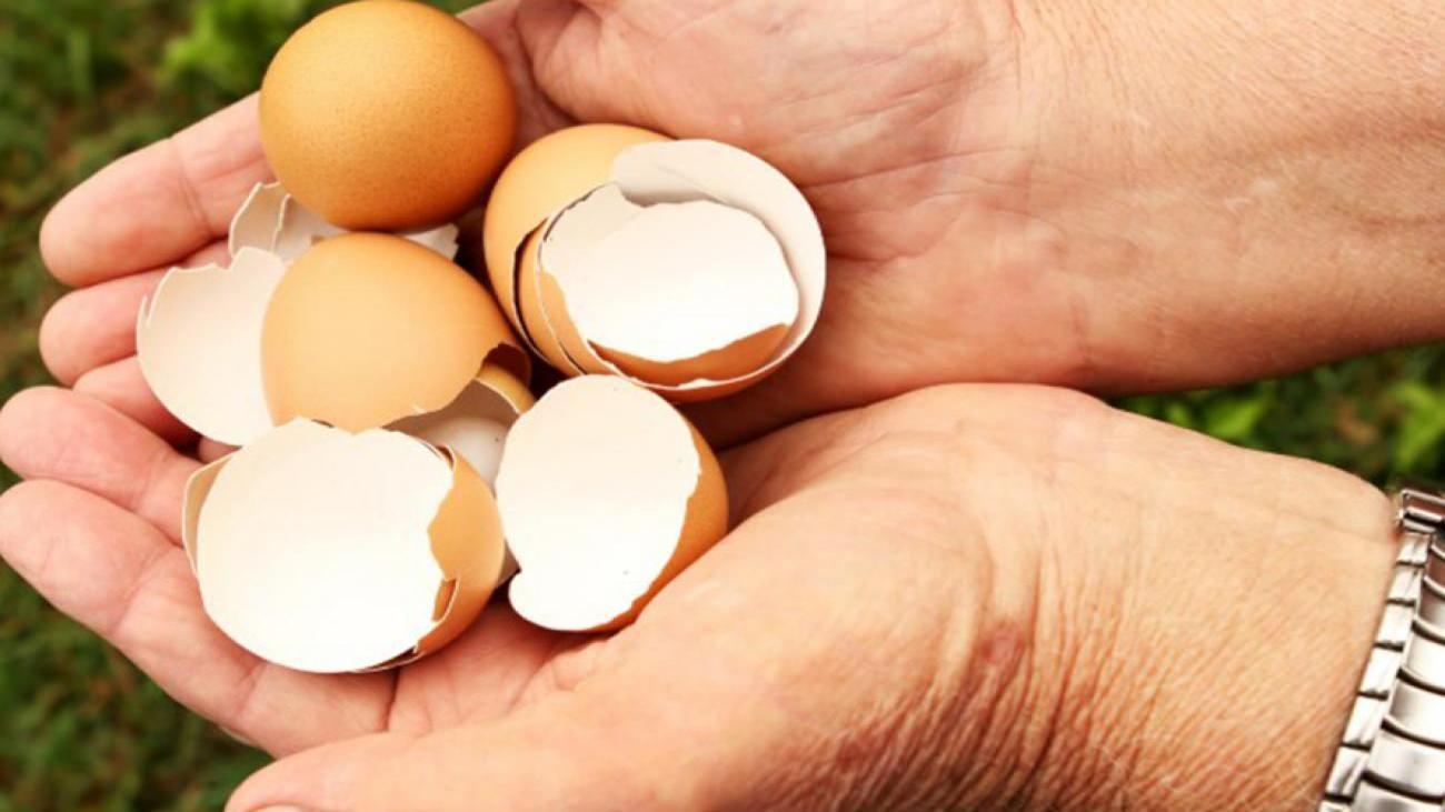 Yumurta kabuğu tüketimi trend oldu!
