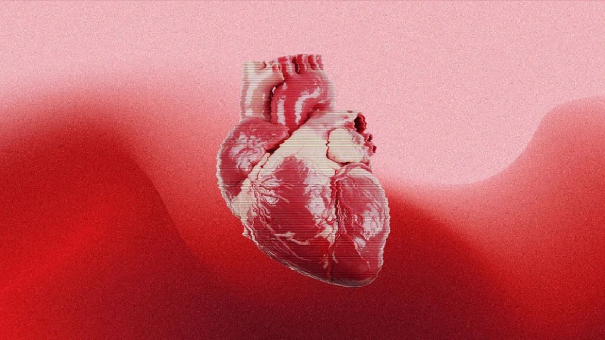Bilim insanları, doğuştan kalp kusurlarını açıklayabilecek gizli bir hücre sinyali keşfetti