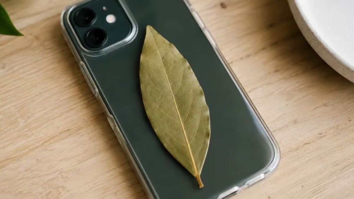 Telefon kılıfında defne yaprağı saklayanlar artıyor