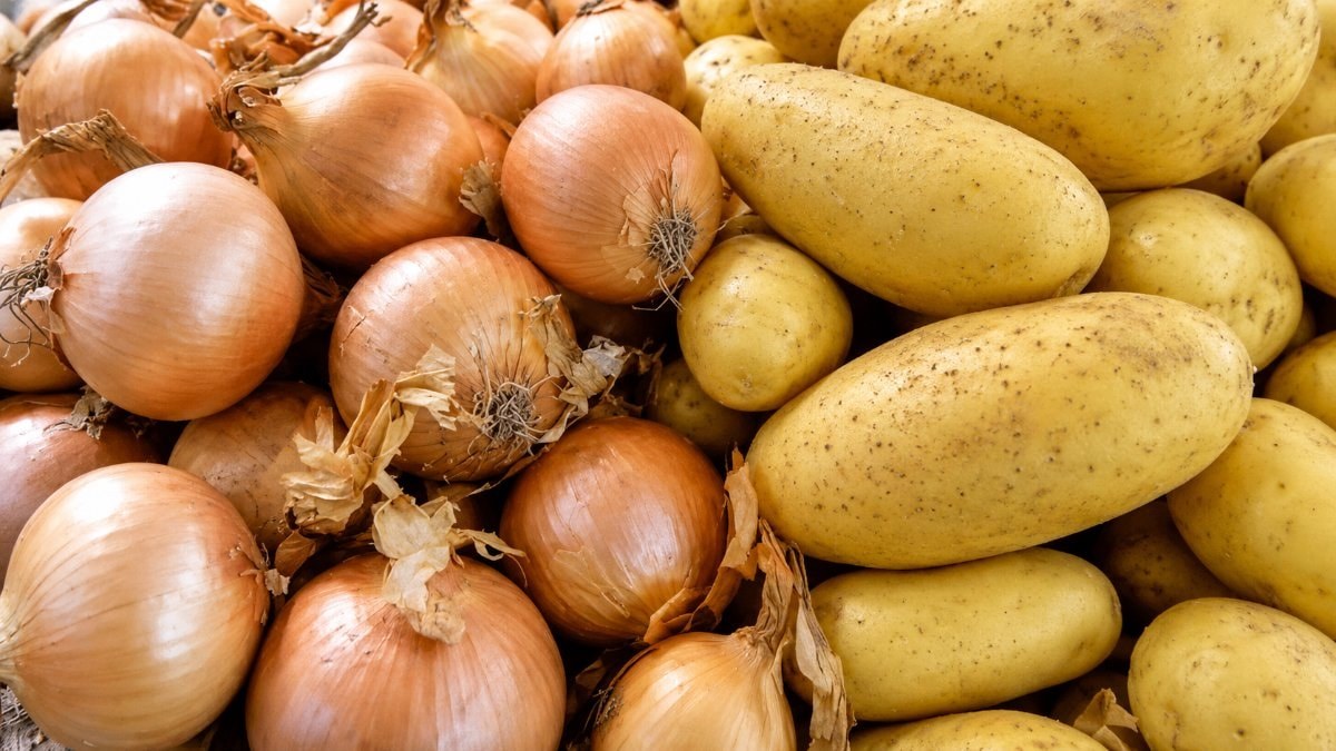 Yazın patates-soğan saklamak bu kadar basitmiş