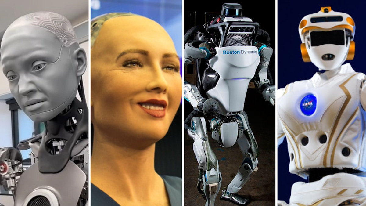 2025’te dünya genelinde satılan insansı robot sayısı belli oldu