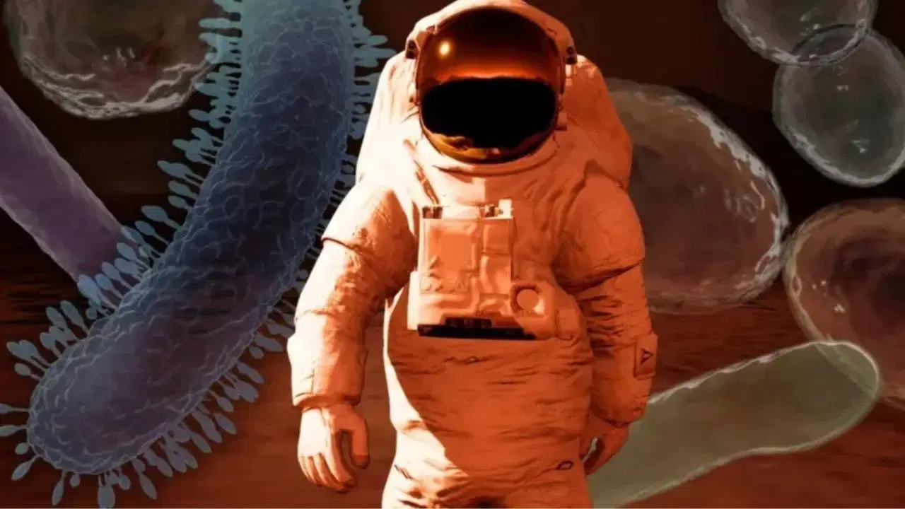 Uzaylı mikroplar insanlığı hasta edebilir mi?
