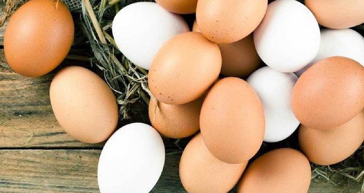 B12 vitamini deposu 8 besin belli oldu